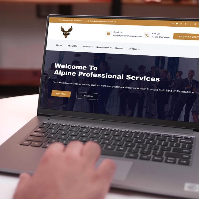 Website design mockup for Alpine Professional Services