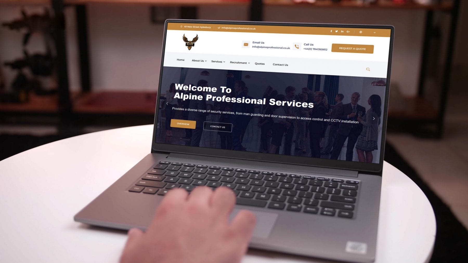 Website design mockup for Alpine Professional Services